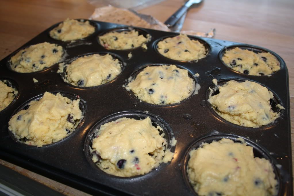 lchf lavkarbo cupcakes muffins