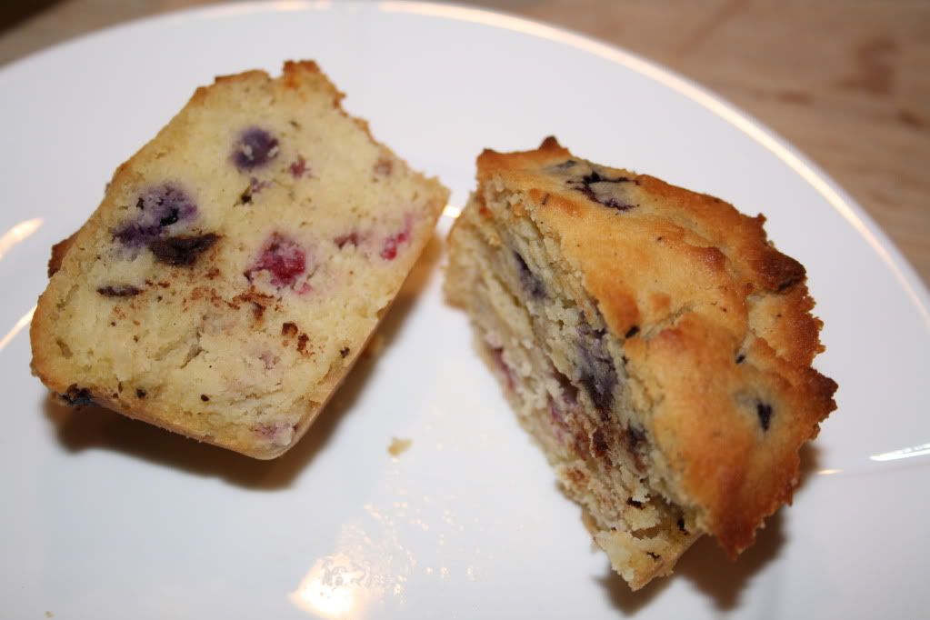 lchf lavkarbo cupcakes muffins