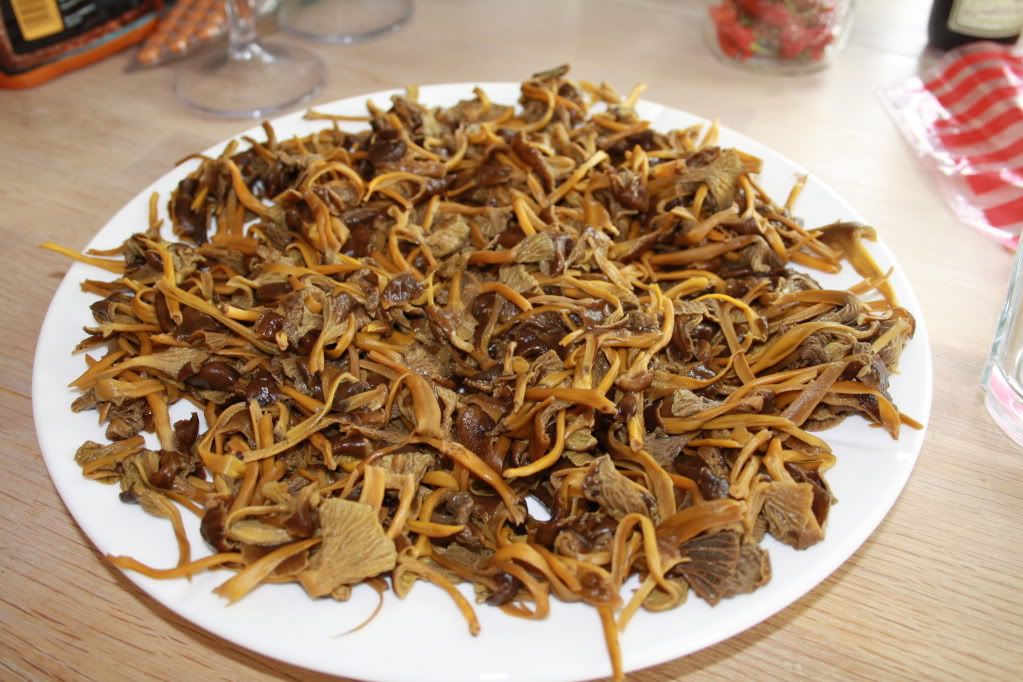 traktekantareller