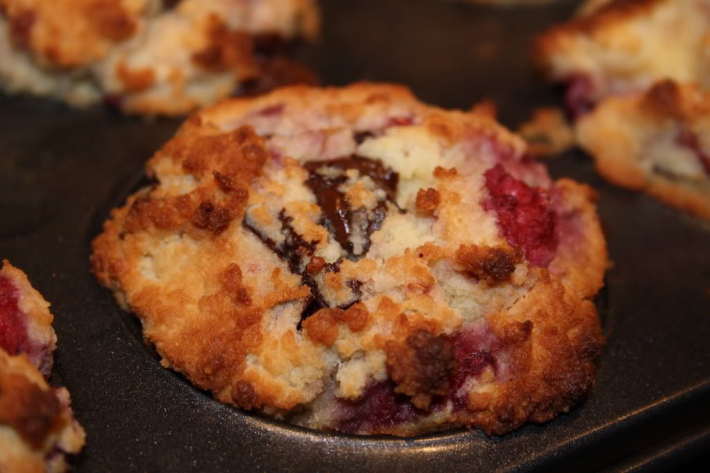 lchf lavkarbo muffins