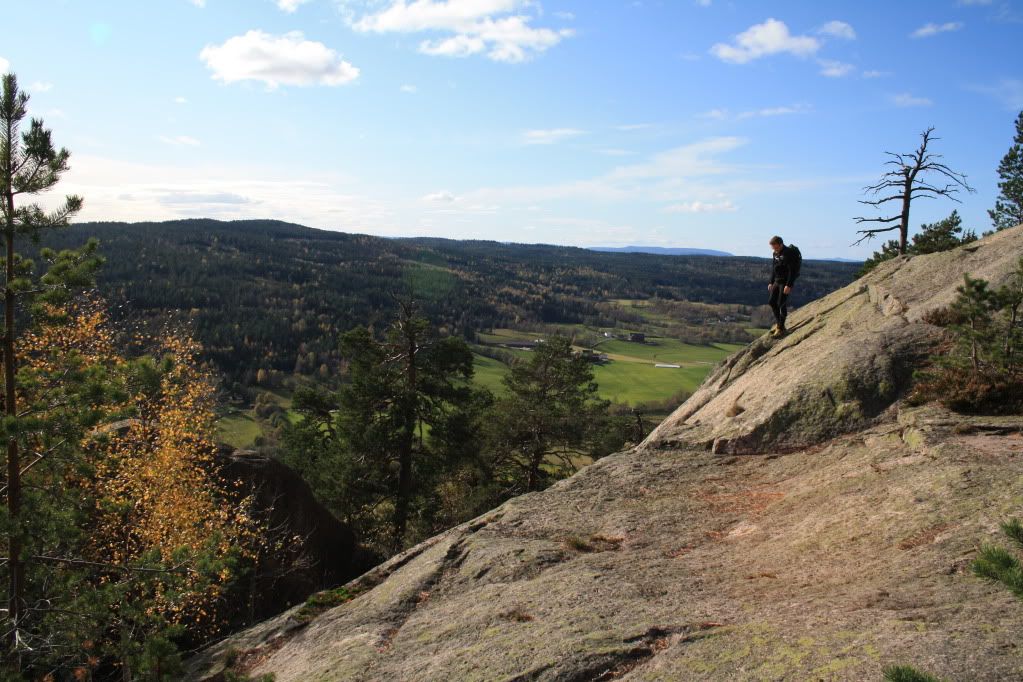 tur i skogen