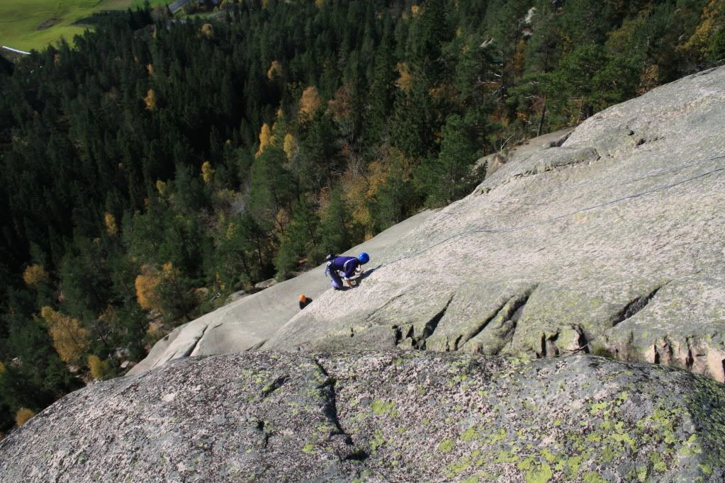 tur i skogen
