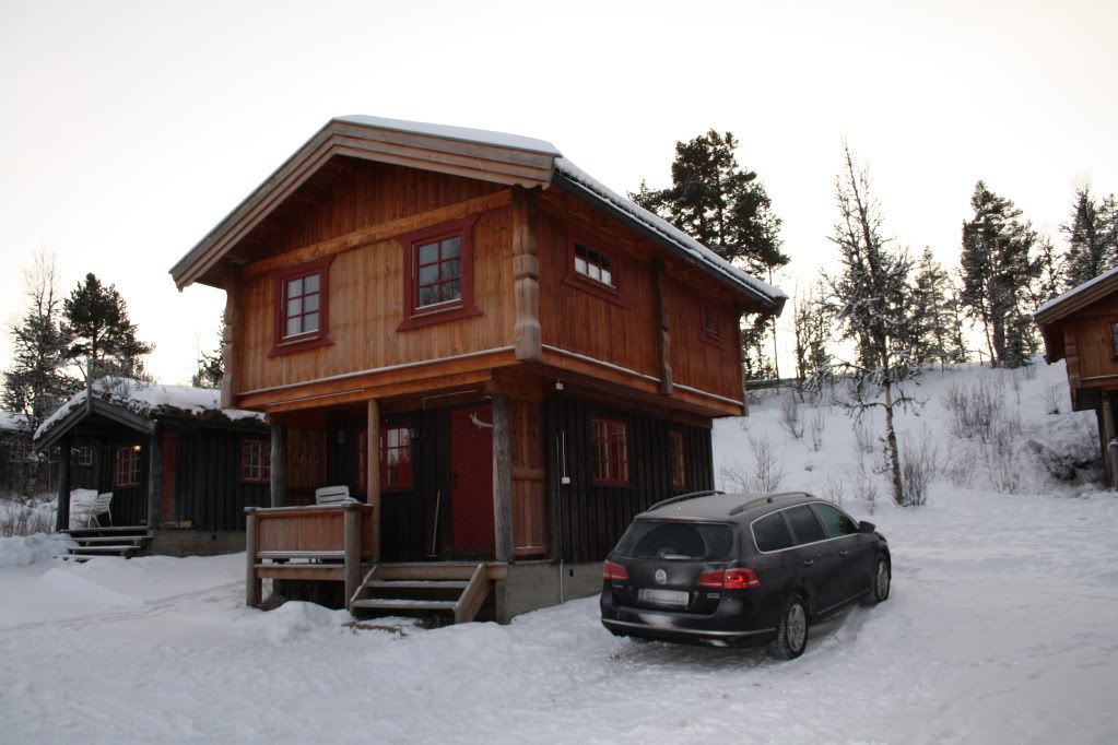 friisvegen måsåplassen