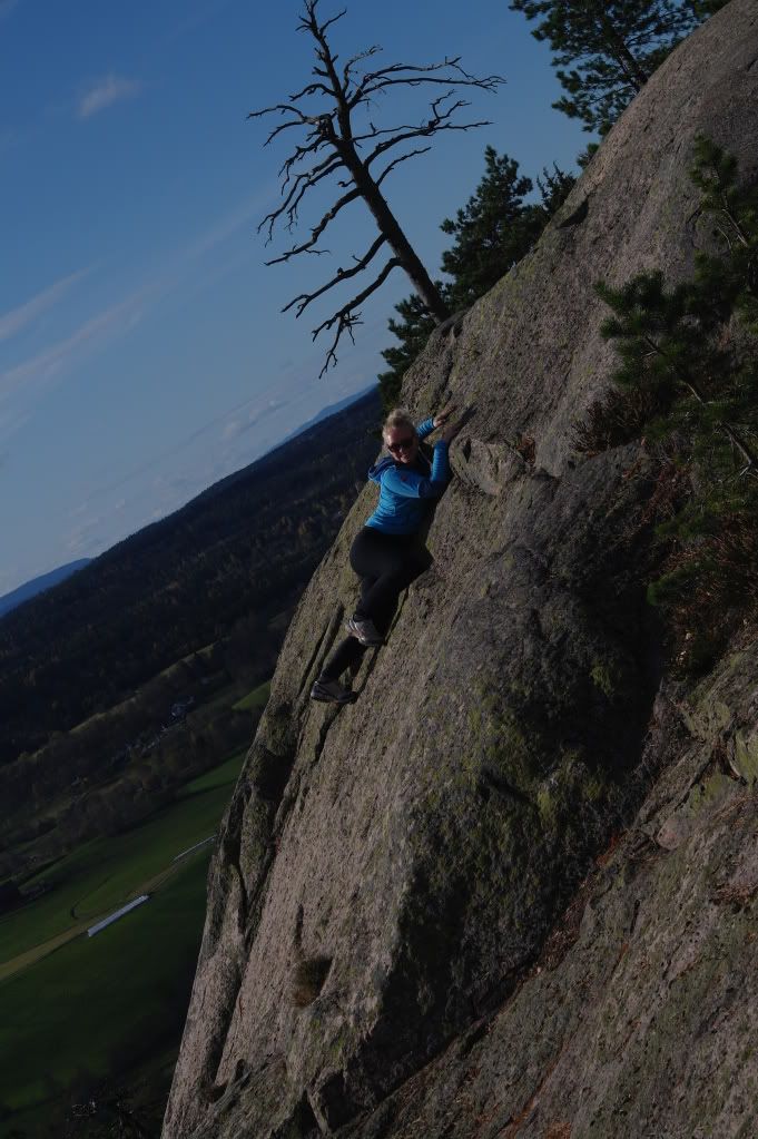 tur i skogen