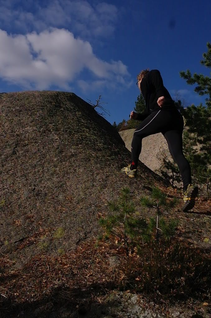 tur i skogen