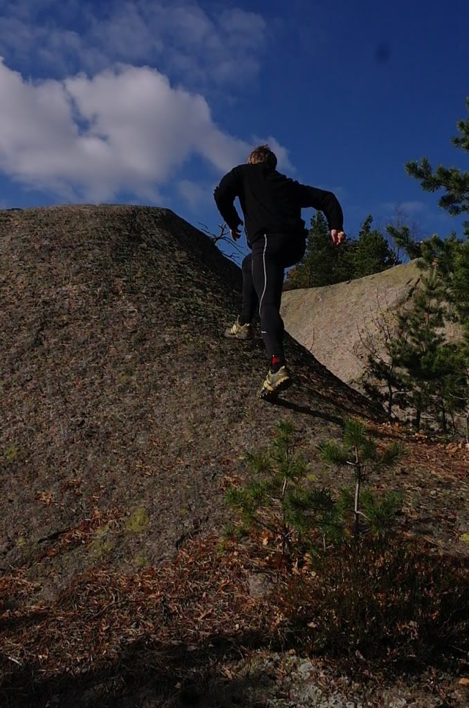tur i skogen