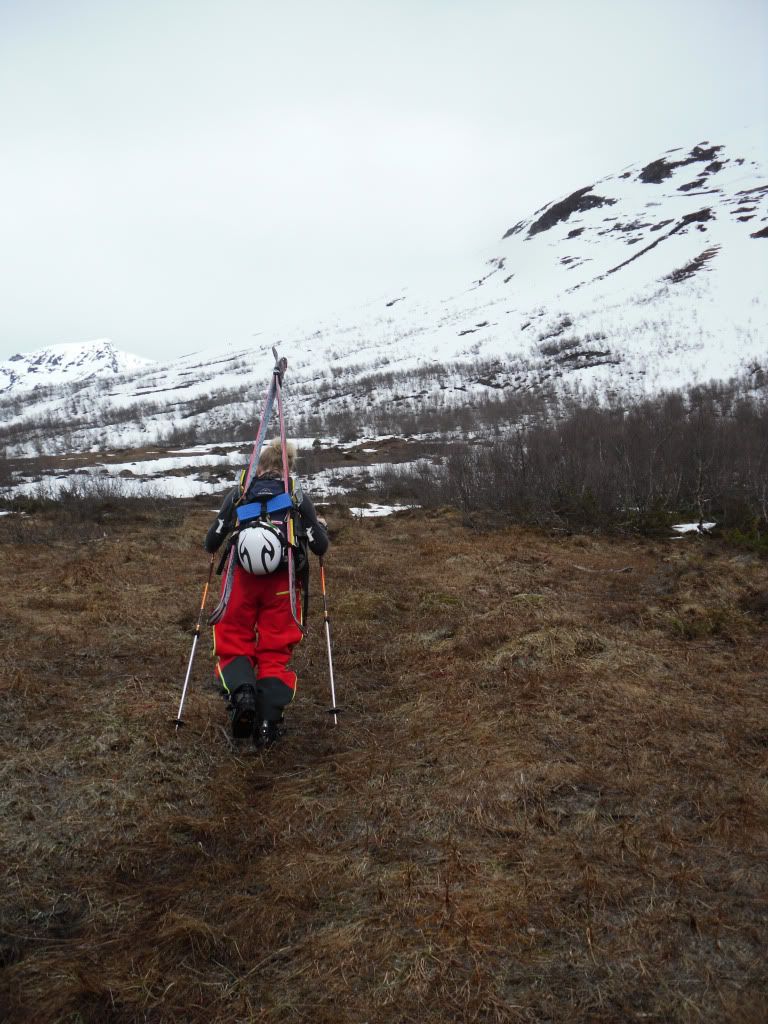nonstinden