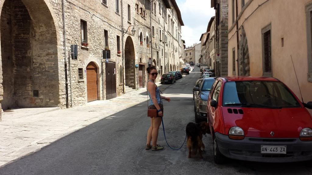 gubbi perugia