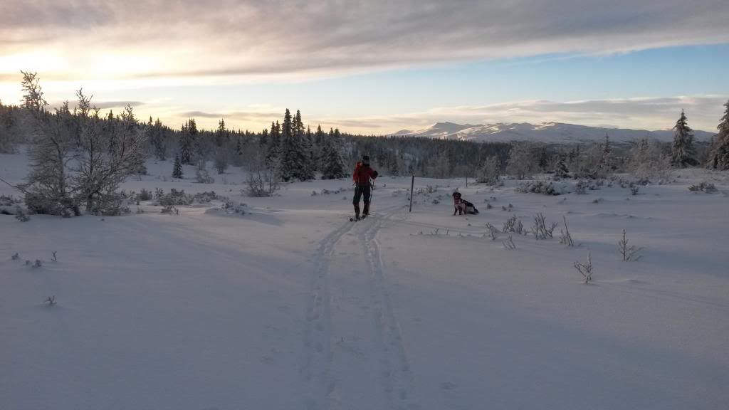 nyttårsfeiring til fjells