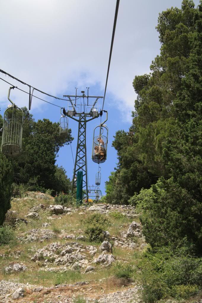 gubbi perugia