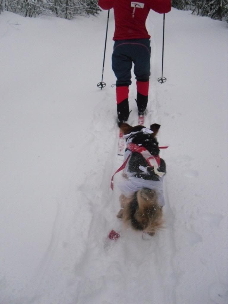 nyttårsfeiring til fjells