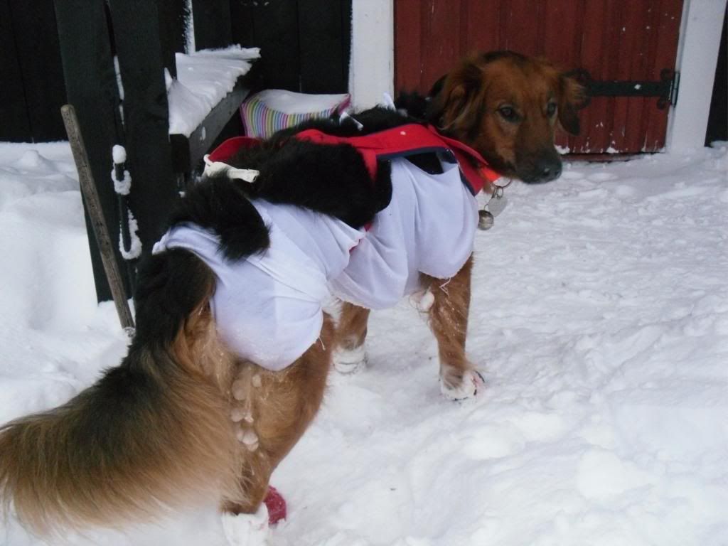 nyttårsfeiring til fjells