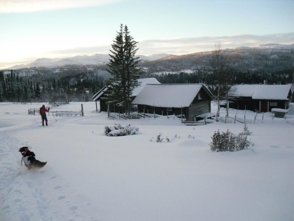 nyttårsfeiring til fjells