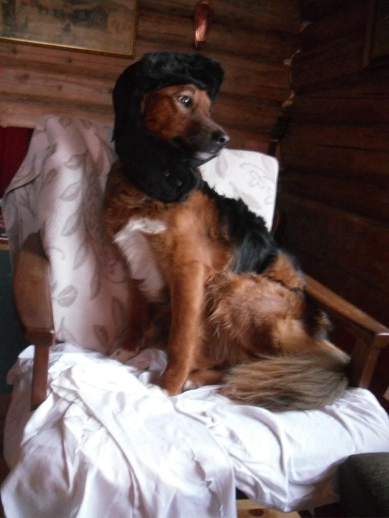 nyttårsfeiring til fjells