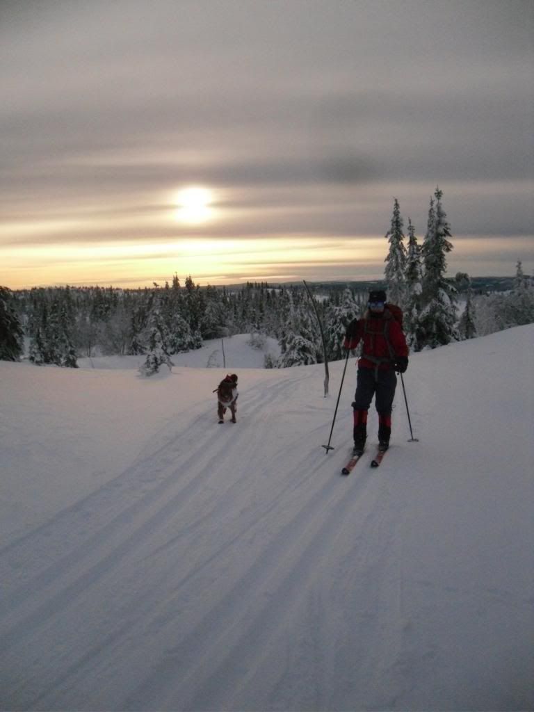 nyttårsfeiring til fjells