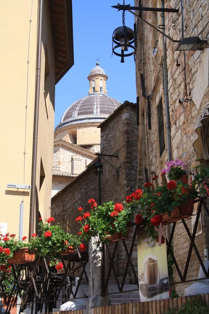 assisi