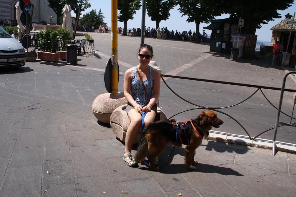 assisi