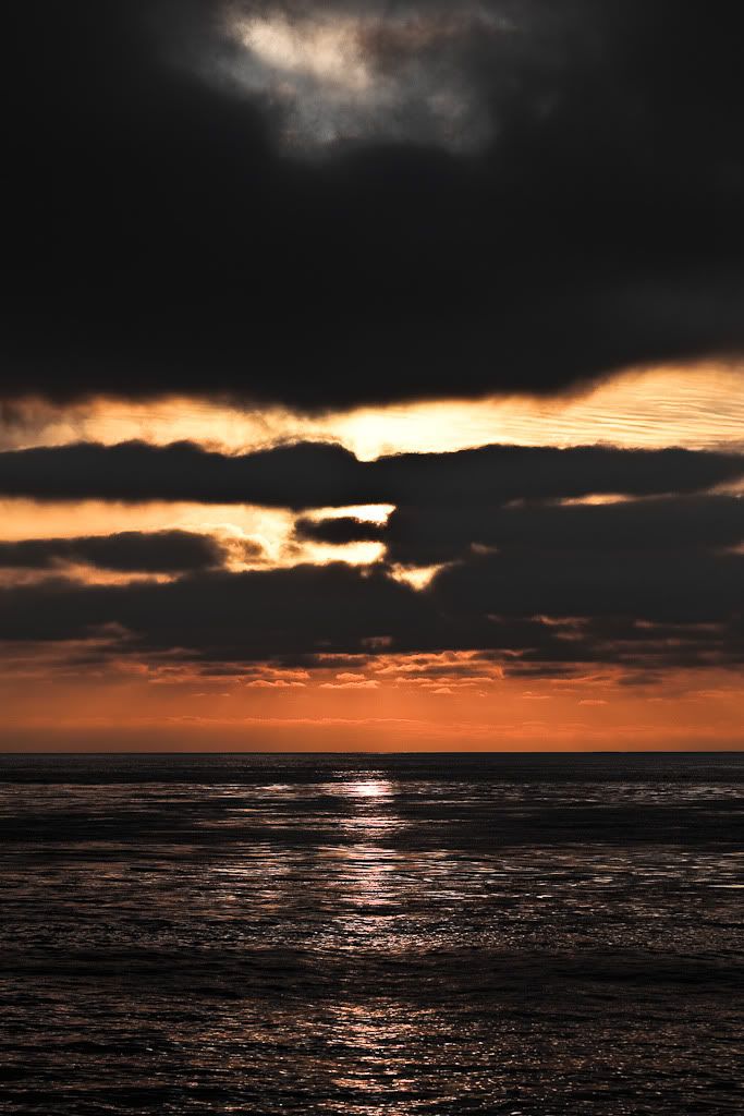 IMAGE: http://i67.photobucket.com/albums/h307/moejoe649/06-02-2009_IMG_8958.jpg