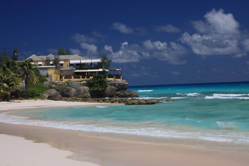 IMAGE: http://i67.photobucket.com/albums/h307/moejoe649/IMG_4591.jpg