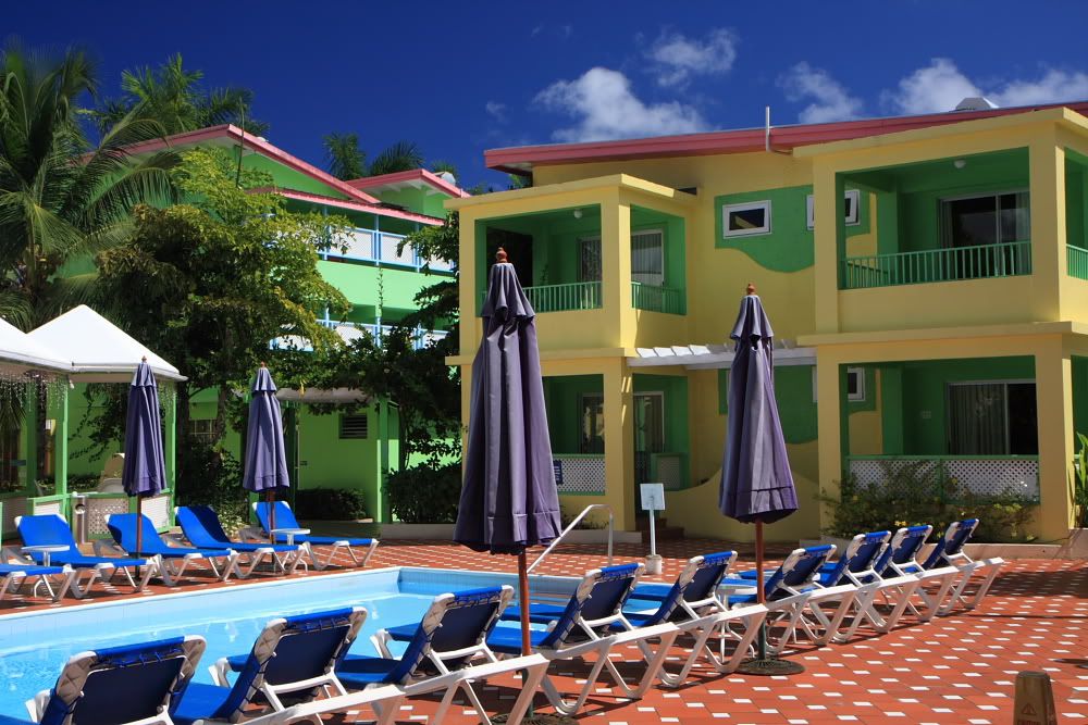 IMAGE: http://i67.photobucket.com/albums/h307/moejoe649/IMG_4656.jpg