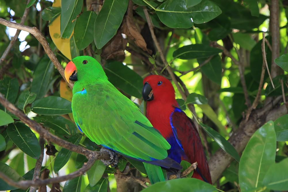 IMAGE: http://i67.photobucket.com/albums/h307/moejoe649/IMG_4853.jpg