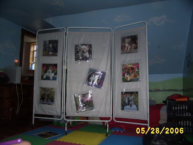 MO house & land - Homesteading Questions