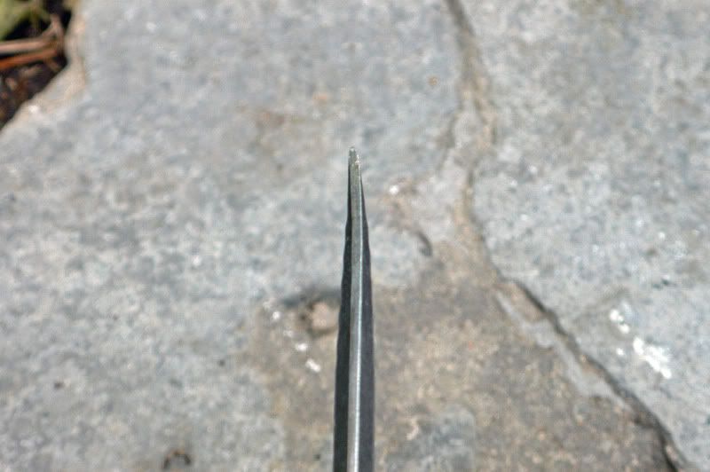 [Linked Image from i67.photobucket.com]