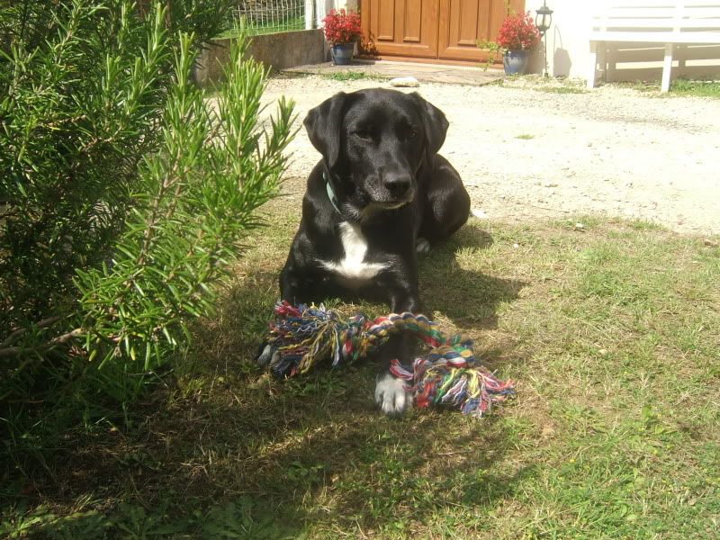 DSCF2175.jpg