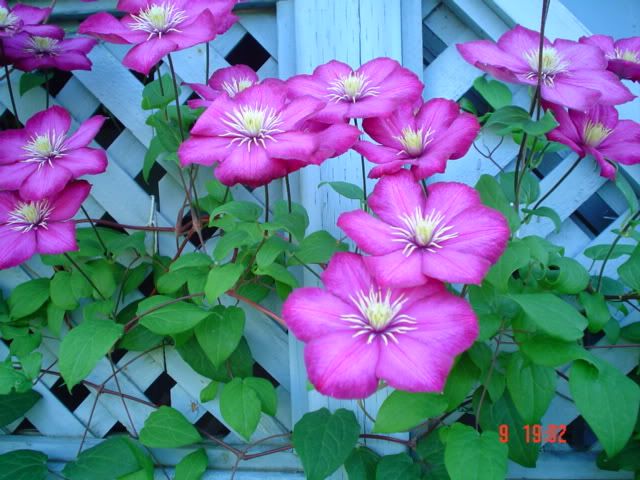 Photobucket - Video and Image Hosting