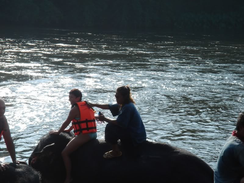 kwai elephants