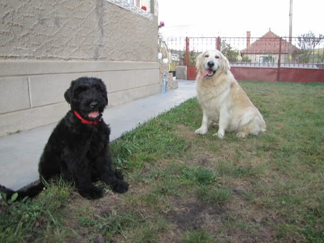Daria & Pascal
