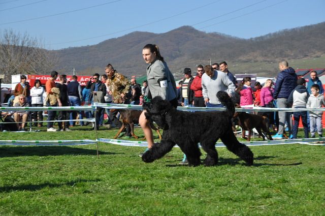 IDS Bistrita Aprilie_2016 photo DSC_7803_zpswsh0siau.jpg