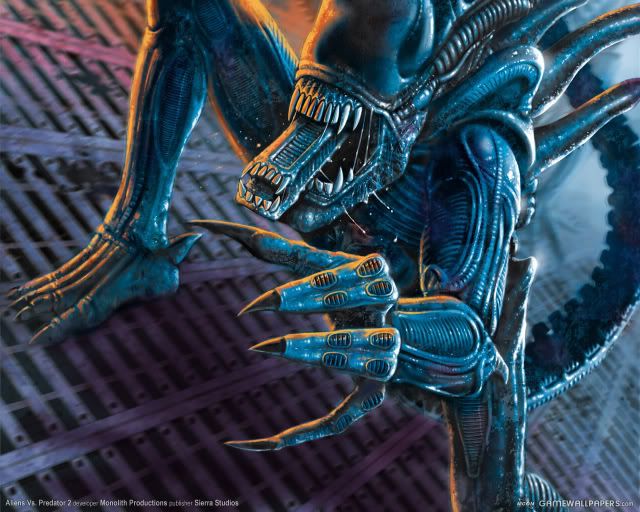 alien vs predator wallpaper. alien vs predator wallpaper