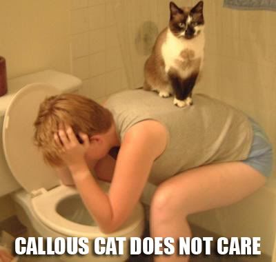 LOLCAT-callouscat.jpg