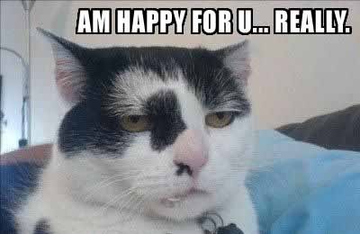 lolcat-happyforugu4.jpg