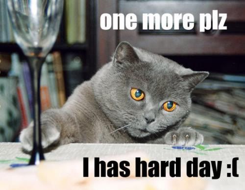 lolcat-ihashardday.jpg