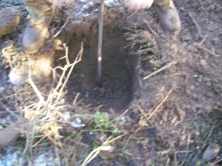 000_0039.jpg