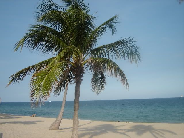 [img width=640 height=480]http://i67.photobucket.com/albums/h313/MLandJJ_2/MLJJ%20October%202006/DSC03485.jpg[/img]