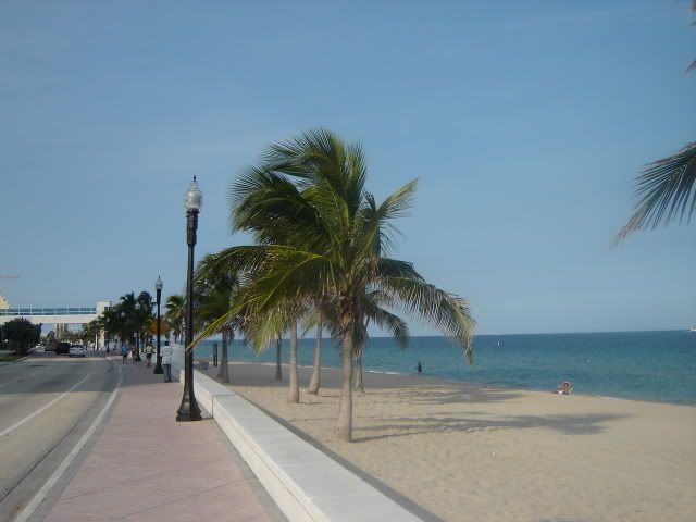 [img width=640 height=480]http://i67.photobucket.com/albums/h313/MLandJJ_2/MLJJ%20October%202006/DSC03488.jpg[/img]