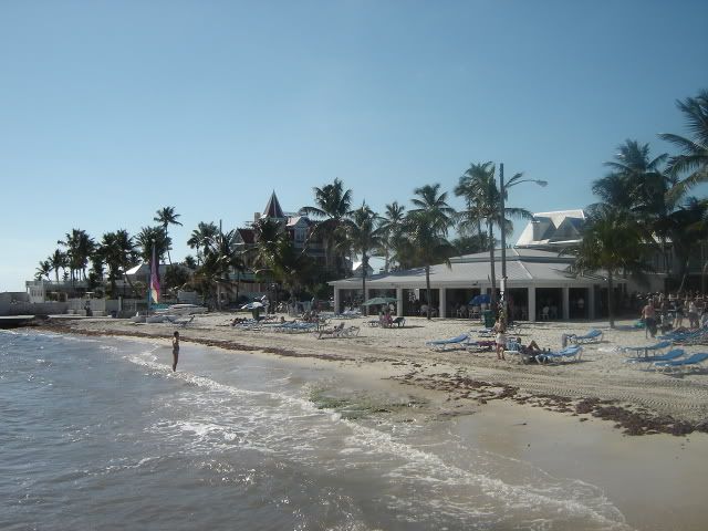 [img width=640 height=480]http://i67.photobucket.com/albums/h313/MLandJJ_2/MLJJ%20October%202006/DSC03676.jpg[/img]