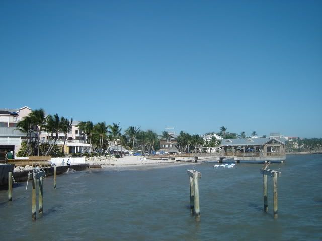 [img width=640 height=480]http://i67.photobucket.com/albums/h313/MLandJJ_2/MLJJ%20October%202006/DSC03677.jpg[/img]