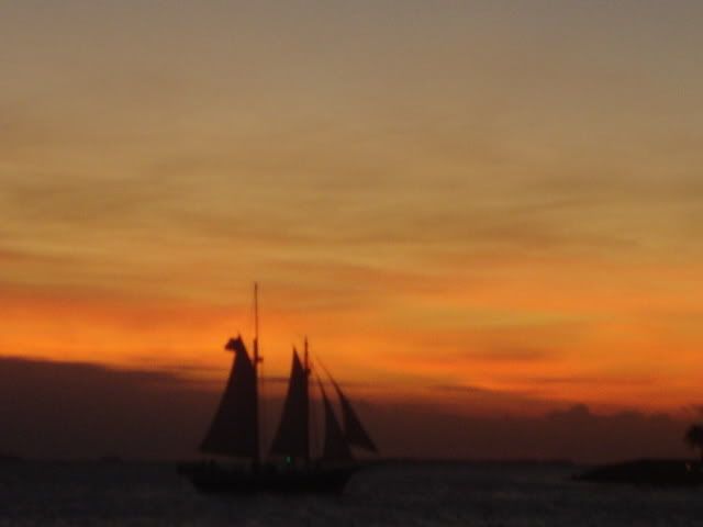 [img width=640 height=480]http://i67.photobucket.com/albums/h313/MLandJJ_2/MLJJ%20October%202006/DSC03712.jpg[/img]