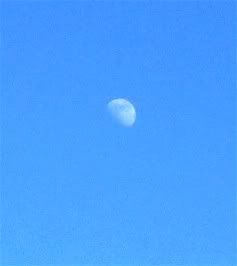 [Image: 1229moon.jpg]