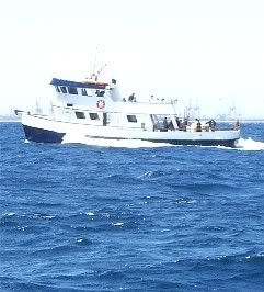 0606CityofLB.jpg