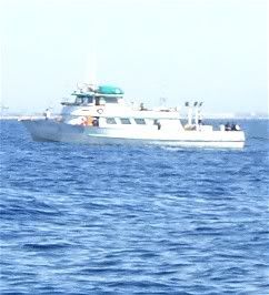 0606monte.jpg