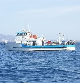 0606sportking.jpg
