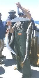 0606weighoff.jpg