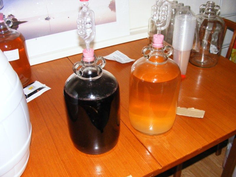 DSCF8448-1.jpg
