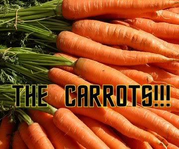carrots.jpg