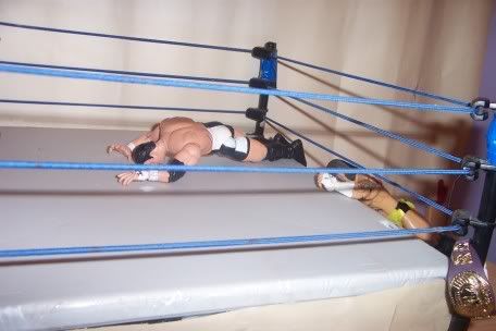 Photo Sharing and Video Hosting at Photobucket